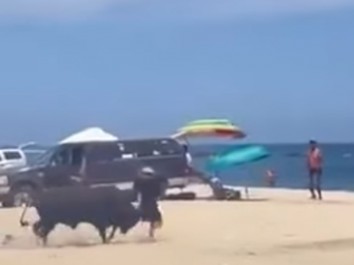 Momento shock: donna incornata da un toro sulla spiaggia