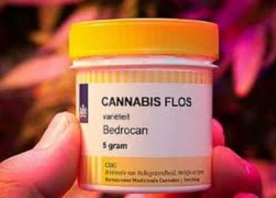 cannabis medicinale