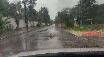 Cede il manto stradale e qualche ben pensante segnala il pericolo ponendo di traverso sulla carreggiata una transenna metallica con due blocchi di cemento