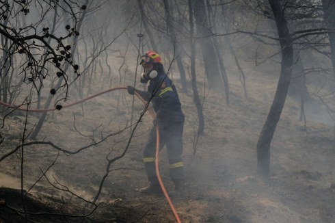 Incendio a Evros: Migranti trovati carbonizzati nella foresta di Dadia. Almeno 18 morti