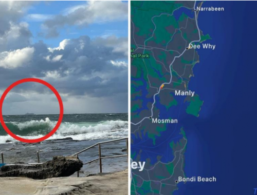 Passeggero di una crociera finisce in mare al largo di Sydney, la polizia avvia le ricerche