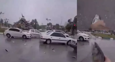 Sorprendente 'pioggia di pesci' in una città iraniana: ecco il motivo – Il video