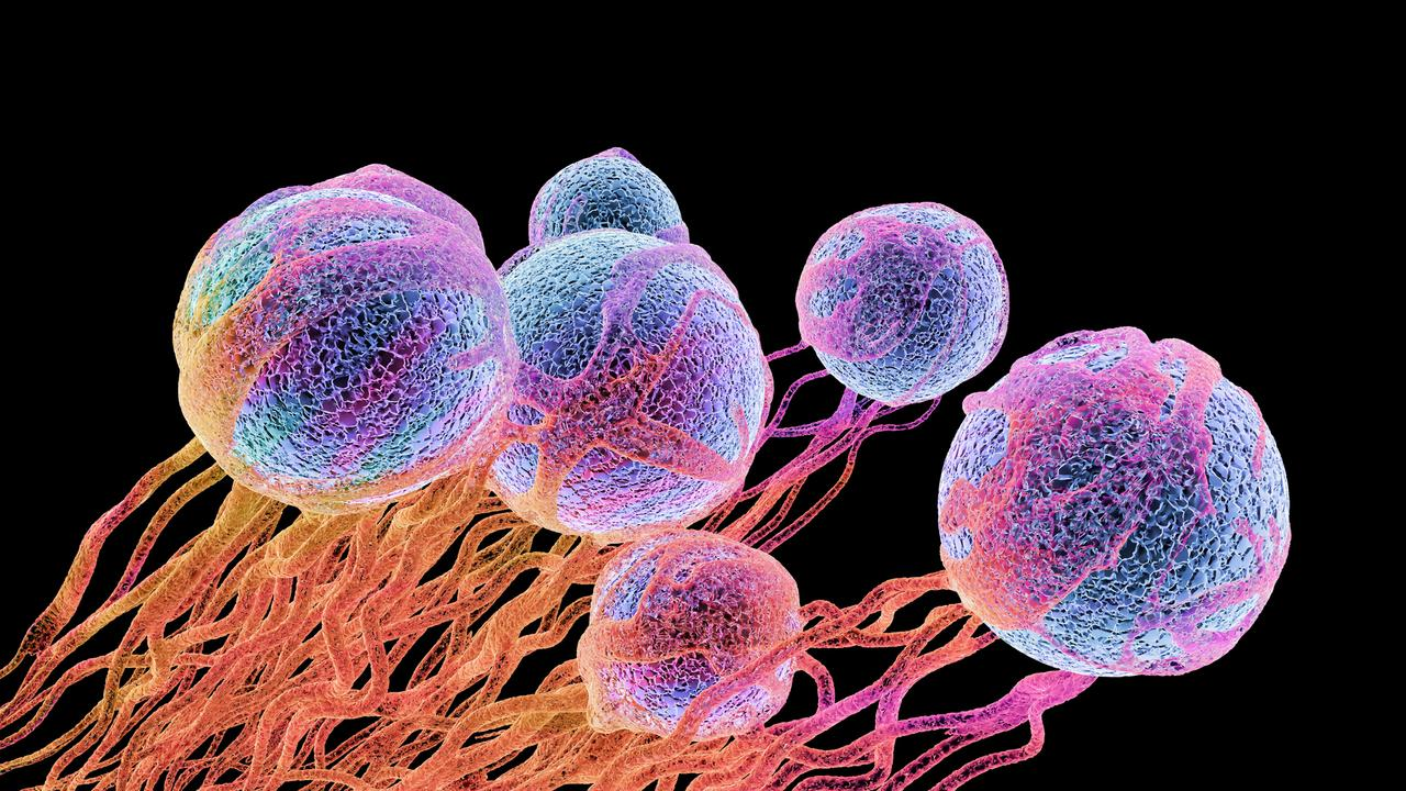 Sportello dei diritti - dalla parte dei cittadini - Il nuovo farmaco ...