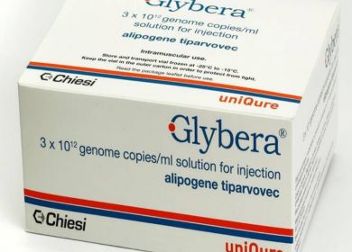 gylbera