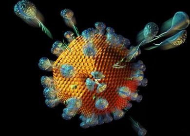 virus HIV