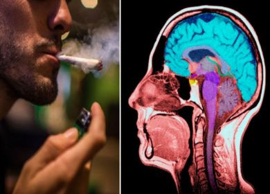 cannabis effetti sul cervello