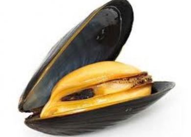 cozze