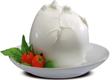 mozzarella di bufala