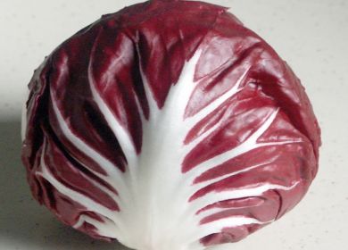 radicchio