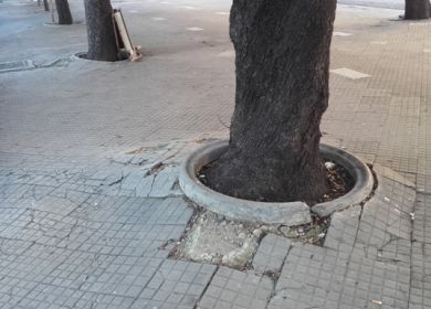 viale o. quarta