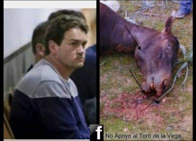 cavallo ucciso e padrone