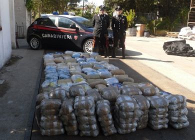 Marijuana sbarcata nel salento