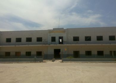 regina pacis