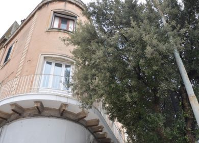 alberi