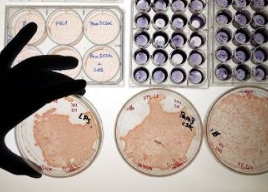 analisi laboratorio