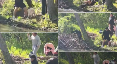 Un castoro risultato infetto da rabbia attacca un bambino di 8 anni al lago Henry a Mahwah, nel New Jersey – Il video