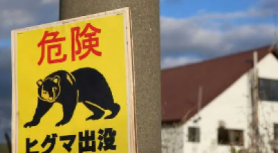 Il Giappone è sotto shock: due morti in 24 ore dopo l'attacco di un orso mentre un raccoglitore di funghi risulta scomparso