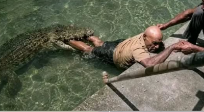 Tragico incidente in un parco faunistico di della Papua Nuova Guinea: addestratore di coccodrilli aggredito a Port Moresby