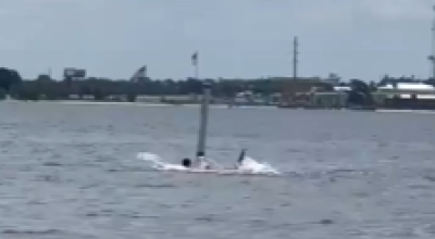 Attacco di squalo a Panama: dipendente della base navale in condizioni critiche dopo essere stato attaccato da uno squalo – Il video 