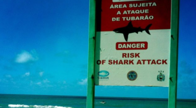 Ragazzo di 13 anni ucciso in un attacco di squalo in Brasile