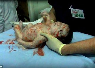 neonata siriana