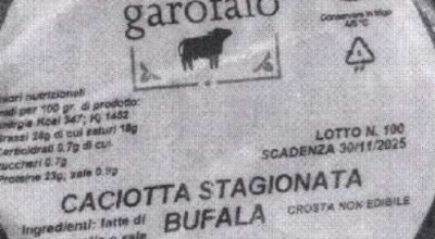 Escherichia Coli nella caciotta stagionata di bufala