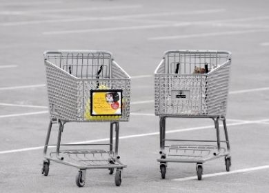 carrello spesa vuoto