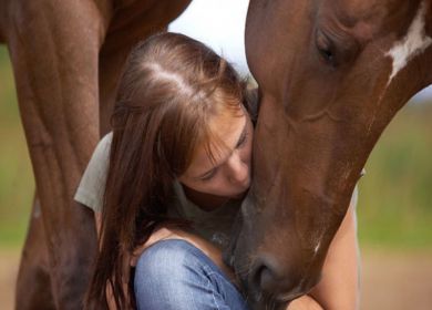 cavallo