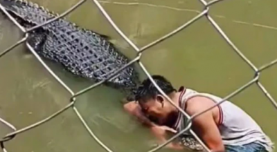 Selfie mania: coccodrillo aggredisce uomo mentre cerca di scattare una foto