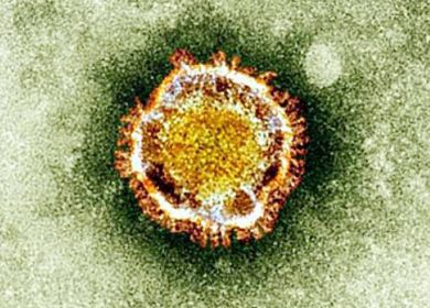 coronavirus