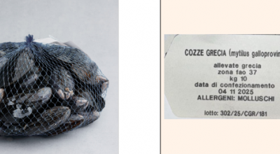 Escherichia coli oltre i limiti: scatta il richiamo delle cozze allevate in Grecia