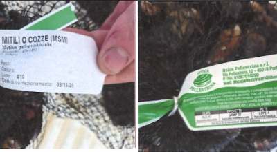 Nuovo allarme Escherichia coli nelle cozze