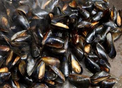 cozze