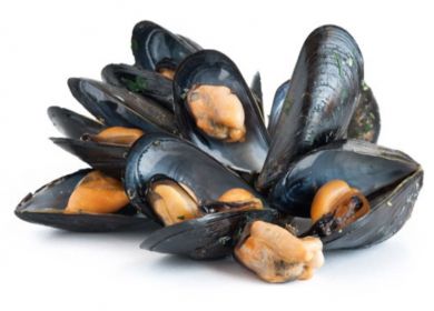 cozze