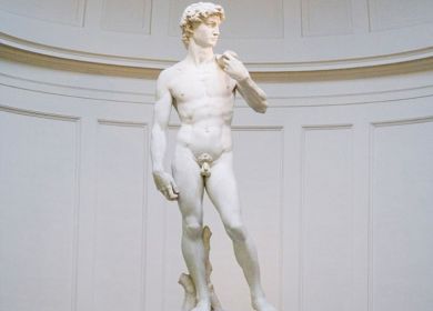 david di michelangelo