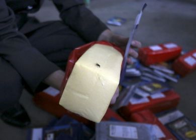 formaggio di contrabbando russo