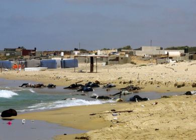 immigrati morti sulle spiagge libiche