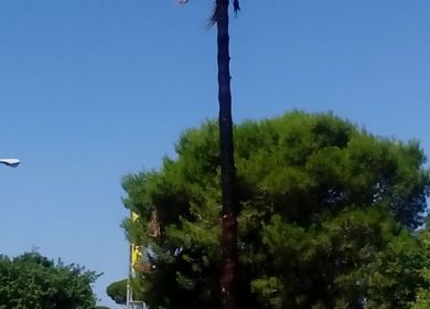 incendio v.le dello stadio