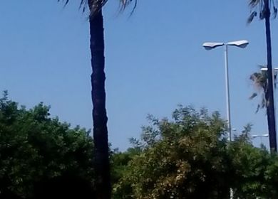 incendio v.le dello satdio
