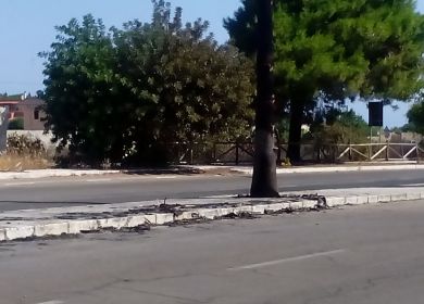 incendio v.le dello stadio
