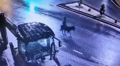 Ladro entra in gioielleria con carrello elevatore ma fugge a dorso di un asino! Le telecamere hanno ripreso tutto...