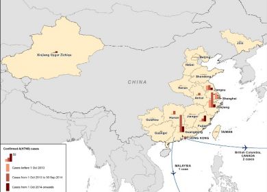 mappa virus cina influenza aviaria