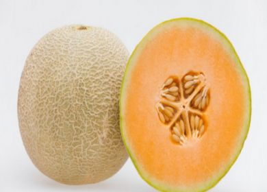 meloni cantalupo