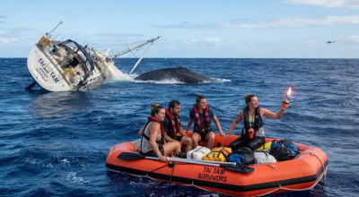 Tragedia sfiorata nel Pacifico: lo yacht australiano Tai Tam affonda dopo l’impatto con una balena, equipaggio salvo