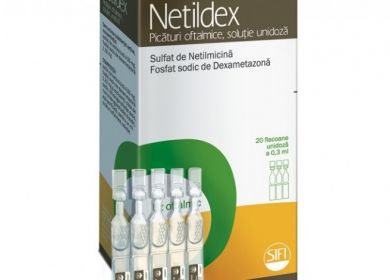 netildex