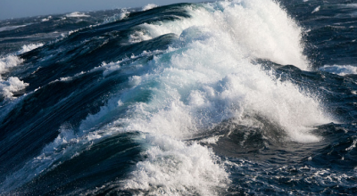 L’allarme degli scienziati: deplezione di ossigeno nell'oceano Atlantico settentrionale