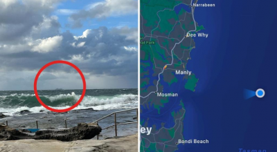 Passeggero di una crociera finisce in mare al largo di Sydney, la polizia avvia le ricerche