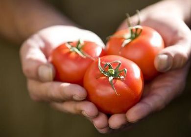 pomodori