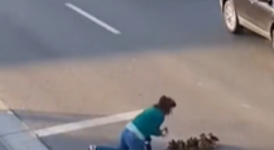 Anatra e i suoi anatroccoli messi in salvo mentre attraversano la strada tra le auto in corsa grazie alla prontezza di una ragazza