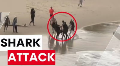Attacco di squalo a sedicenne surfista: lo squalo insegue vittima e soccorritore fino alla spiaggia